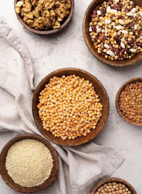 The Grain Industry
