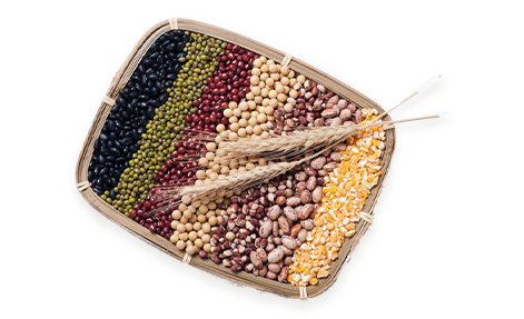 The Grain Industry