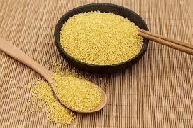 What Is Millet?