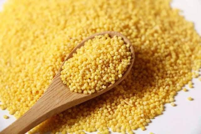 Top 12 Health Benefits of Millets