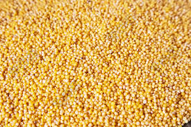 Why are Millets Gaining Popularity? Benefits of Millet for Health