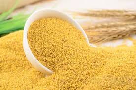 Health Benefits of Millet