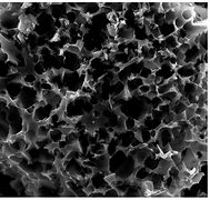 granular activated carbon from Palmae biomass for mercury removal