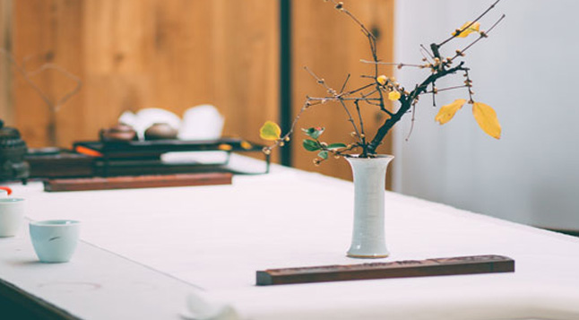 tokyo soba-Bump & Beyond: 7 Reasons Why Buckwheat Tea is the Perfect Brew During Pregnancy