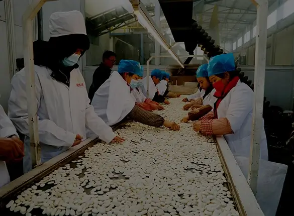 The company transformed and developed from 2012, and began to try the export business of coarse grains, earning 290,000 US dollars that year,