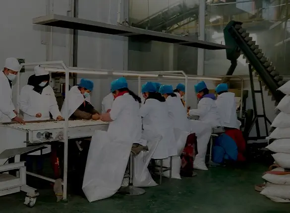 was established in August 2006, is a small grain base planting, processing, storage, sales, import and export as one of the private enterprises.
