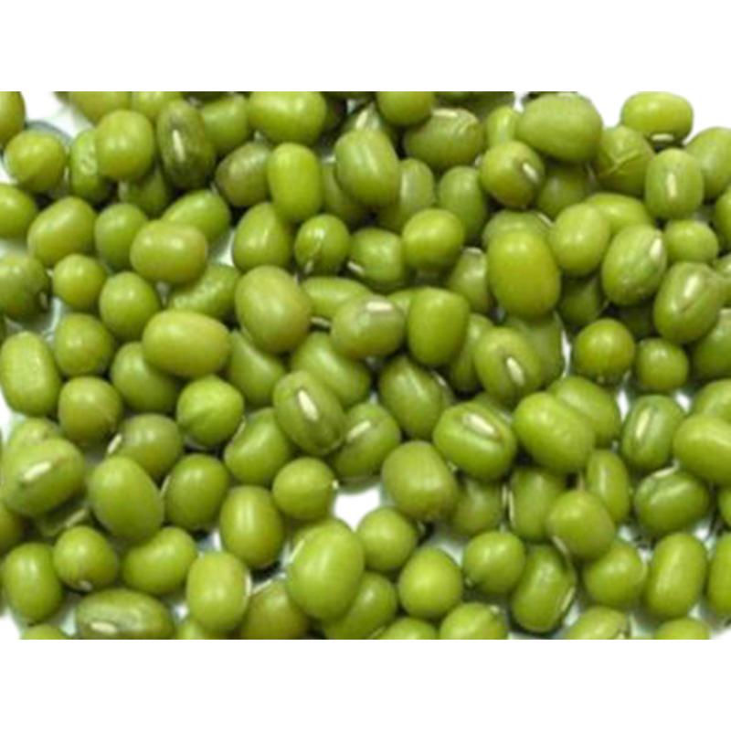 mung bean