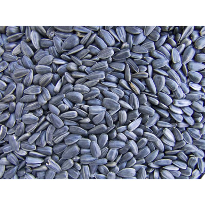 Oilseeds
