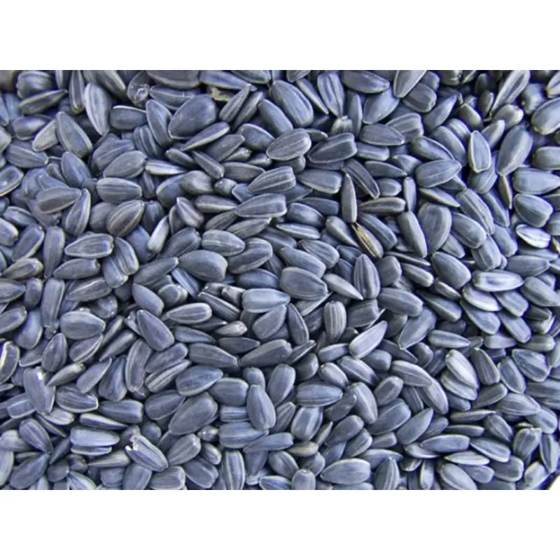 Oilseeds