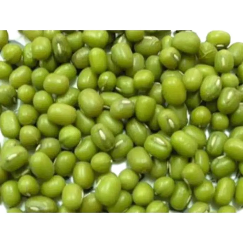 mung bean
