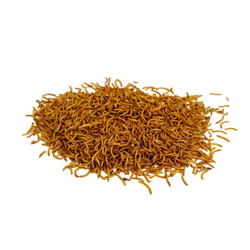 100% Non GMO natural edible dried mealworm with high protein for people