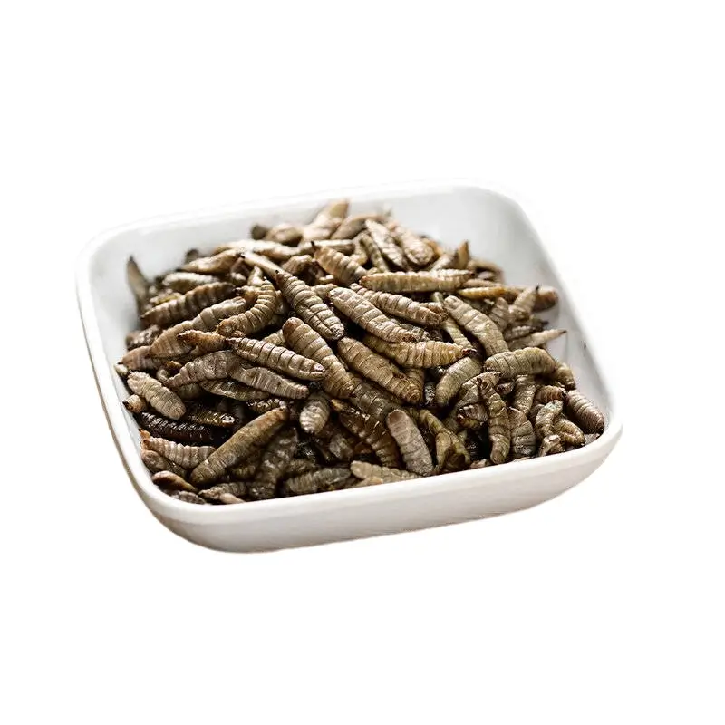 Pet Breeding Feed Aquatic Feed Protein Supplement Dried Black Soldier Fly