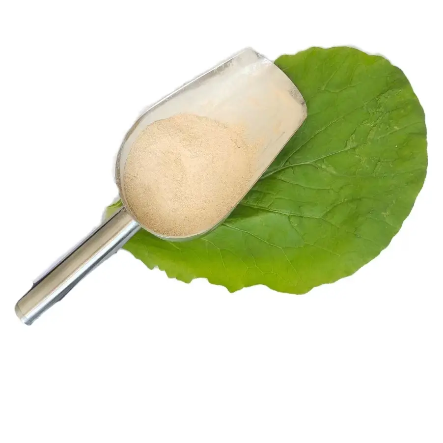 High-quality animal protein tasteless mealworm protein powder for improving immune resistance