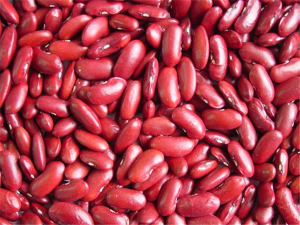 What are the differences between dried red kidney and pink beans