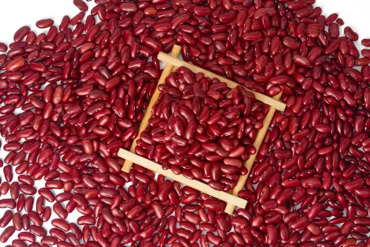 Are Kidney Beans Healthy