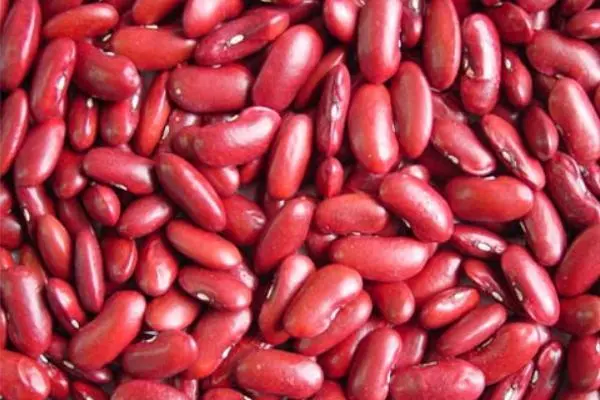 Benefits of Kidney Beans, Nutritional Facts, Recipes, Side Effects and More