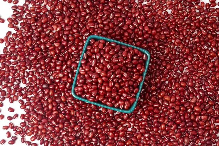 Dark Red Kidney Beans  PRODUCT DESCRIPTION