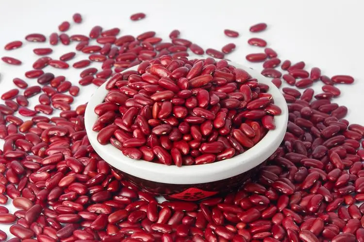 Why Dark Red Kidney Beans  For Nutrition