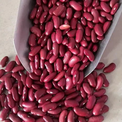 5 Things You Need to Know About the Health Benefits of Red Beans