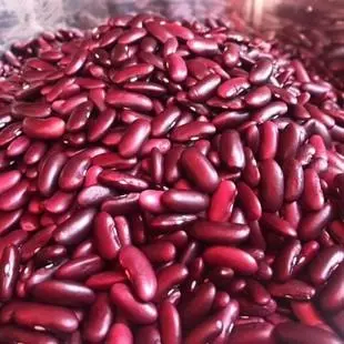What is the Difference Between Red Beans & Kidney Beans
