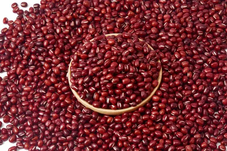 Kidney Beans Nutrition Helps Fight Diabetes