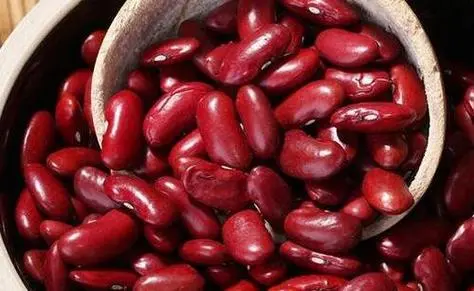 Organic Dark Red Kidney Beans