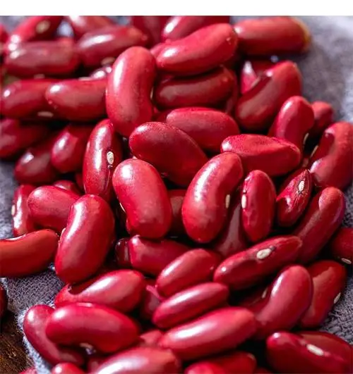 Cooking Tips of Dark Red Kidney Beans