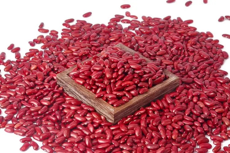 Top 8 Benefits Of Kidney Beans, Nutrition, And Side Effects