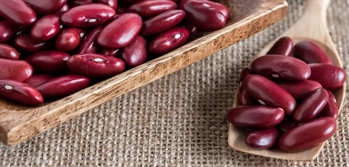 Talk about Kidney bean benefits