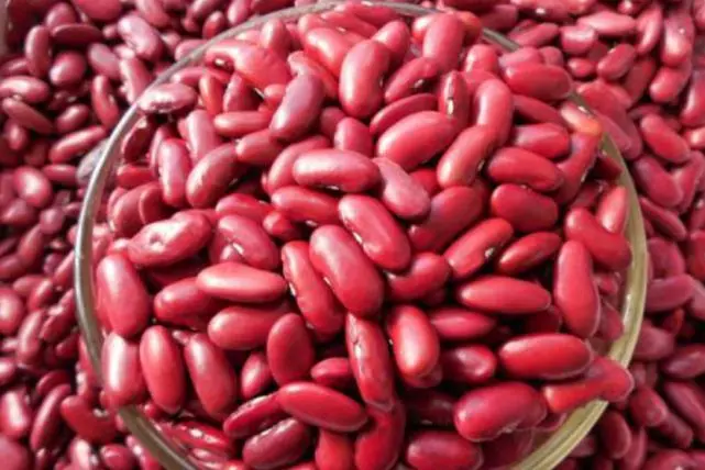 Health Benefits of Kidney Beans