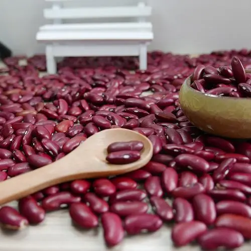 Are kidney beans, navy beans, black beans, red beans, or pinto beans better for you?