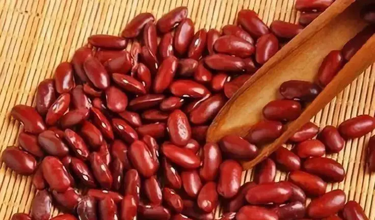 Are Kidney Beans Healthy