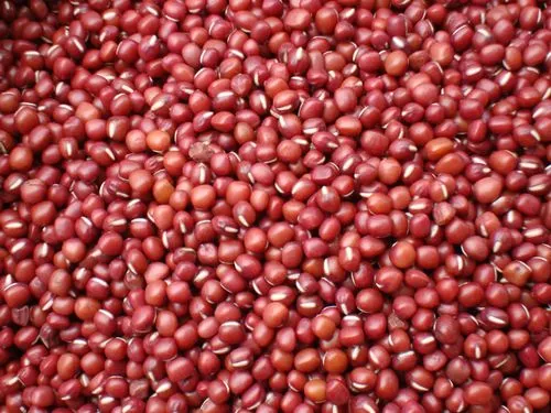 20 Health Benefits of Kidney Beans