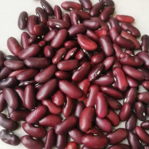 Kidney Bean Nutrition Facts and Health Benefits