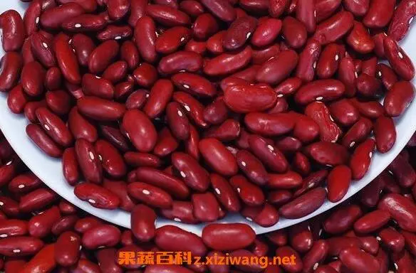 5 Things You Need to Know About the Health Benefits of Red Beans