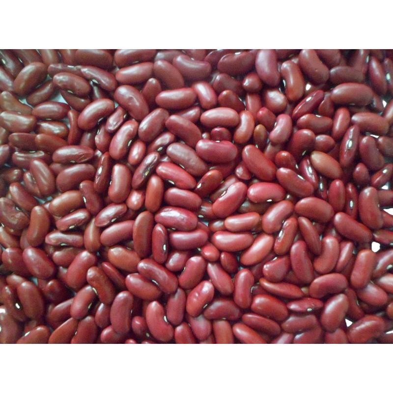 10 great health foods