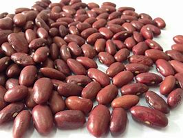 red kidney beans Health Benefits of Kidney Beans