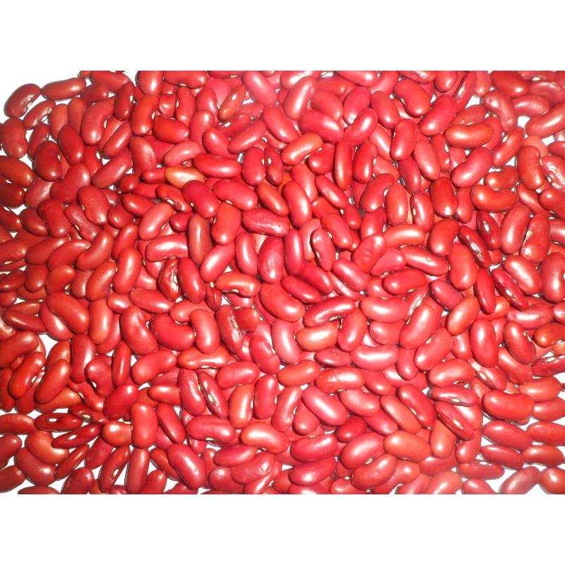 Dark Red Kidney Beans
