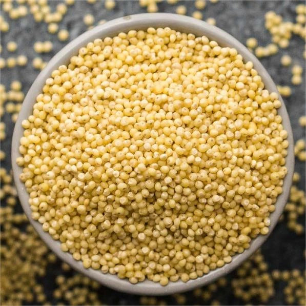 Eating millet has many benefits, and the following are some of the main benefits