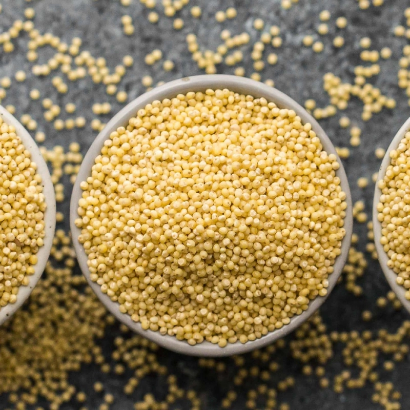 Embracing the Nutritional Powerhouse: Exploring the Health Benefits of Millet