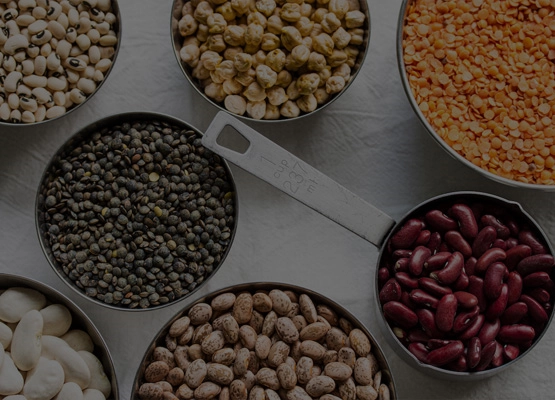 By participating in large-scale agricultural products exhibitions at home and abroad, we have signed quantitative sales contracts with more than 60 companies, effectively establishing an upstream and downstream supply chain.