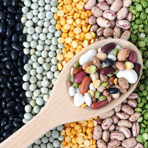 white kidney-Health Benefits of White Kidney Bean Extract