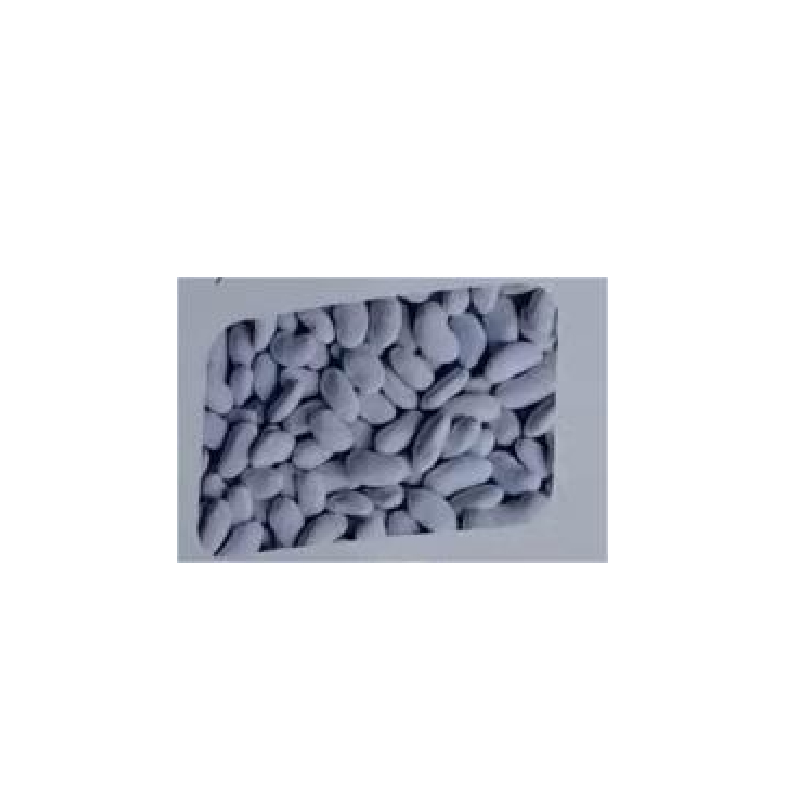 kebaikan white kidney bean-White Kidney Bean Extract