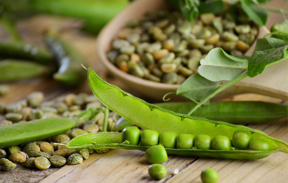 white kidney bean extract weight loss-Health Benefits of White Beans