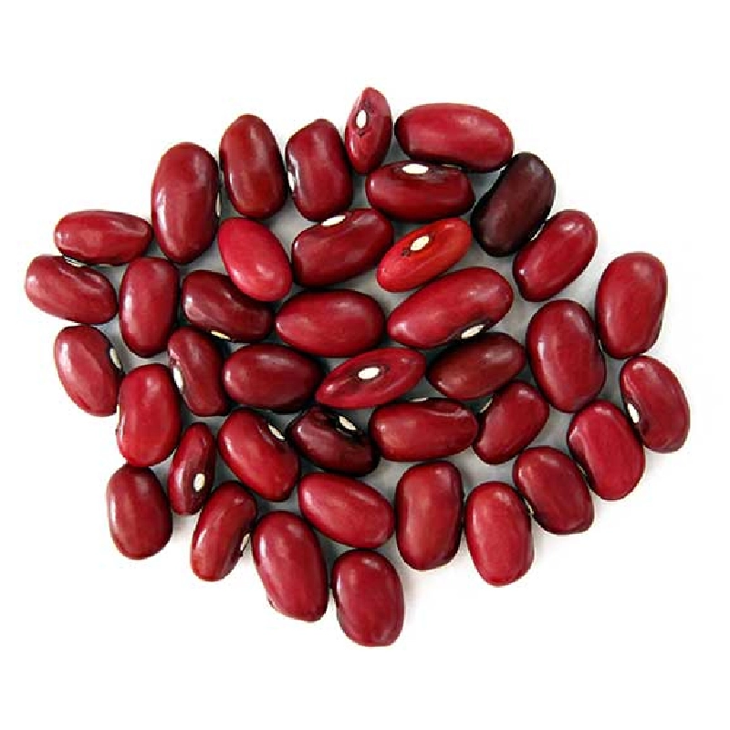 Small Red Bean