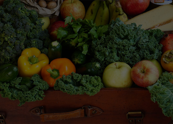 At present, there are two fruit and vegetable processing production lines, which use advanced Italian imported equipment to concentrate fruits and vegetables at high temperature, sterilize and fill them to make concentrated sauce series products.
