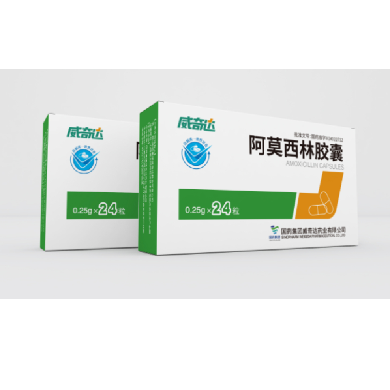 Amoxicillin Capsule